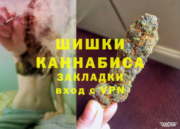 дмт Магас