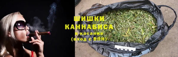 дмт Магас